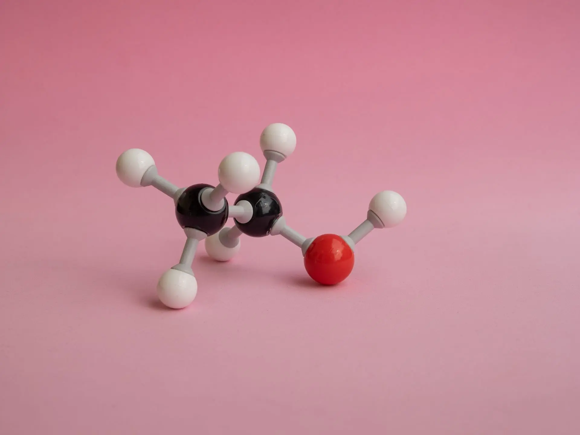microRNA Isolation Kit, Mouse Ago2