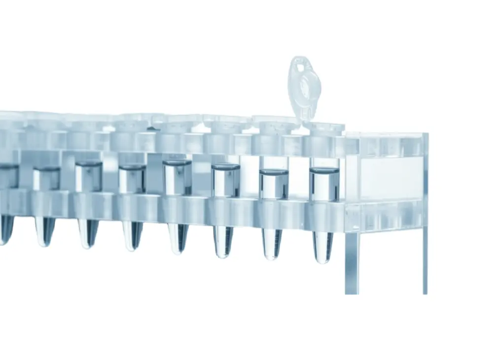 unmodified c-Myc mRNA