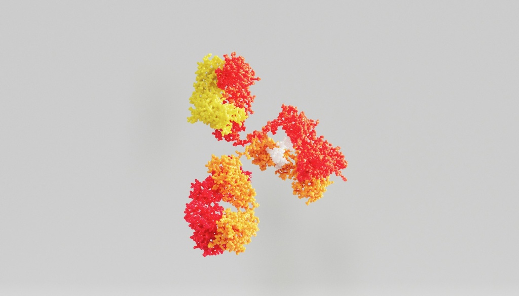 p44/42 MAPK  (Erk1/2)  antibody - 100µg
