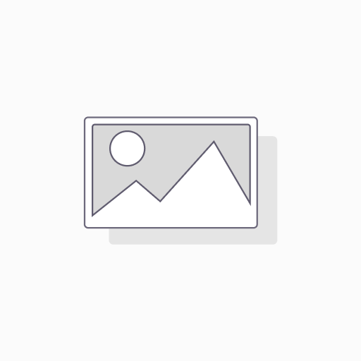 pECMV- 3*Flag- LCK - 2ug