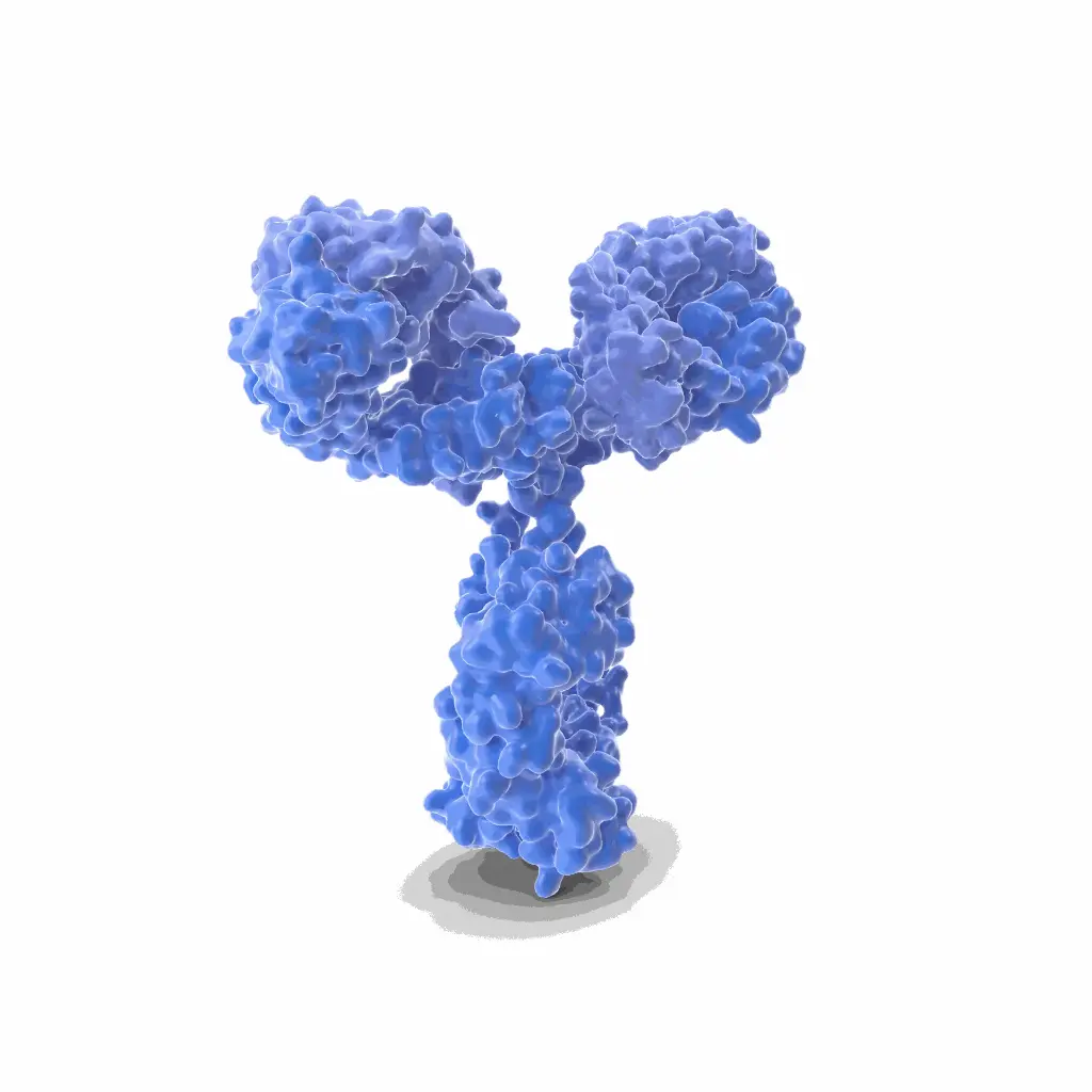 PODN Antibody