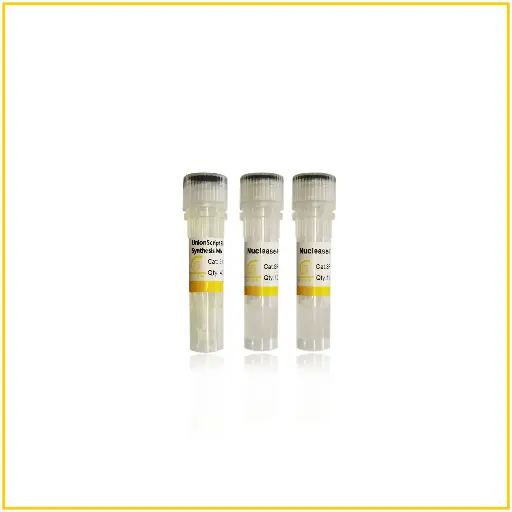 [SR512] UnionScript First-strand cDNA Synthesis Mix for qPCR(with dsDNase)