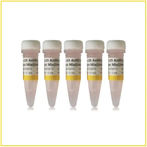 [SQ410] GS AntiQ qPCR SYBR Green Fast Mix(Universal)