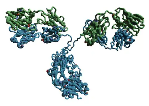 [BMA1035-sf] Monoclonal Anti- PiggyBac transposable element-derived protein 5, PGBD5 antibody