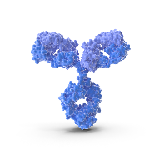 [BF0022] STAT5A antibody