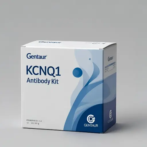 [ABD7568] KCNQ1 Antibody