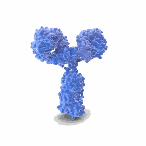 [ABD10168] PODN Antibody