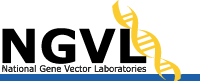 NGVL